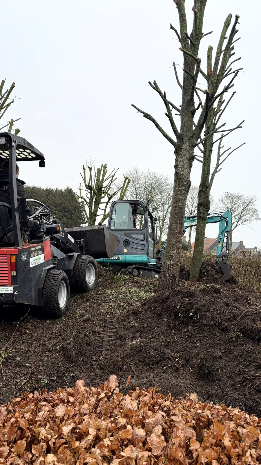 Gesnoeide boom met de machines van Tuinen Dylan ernaast