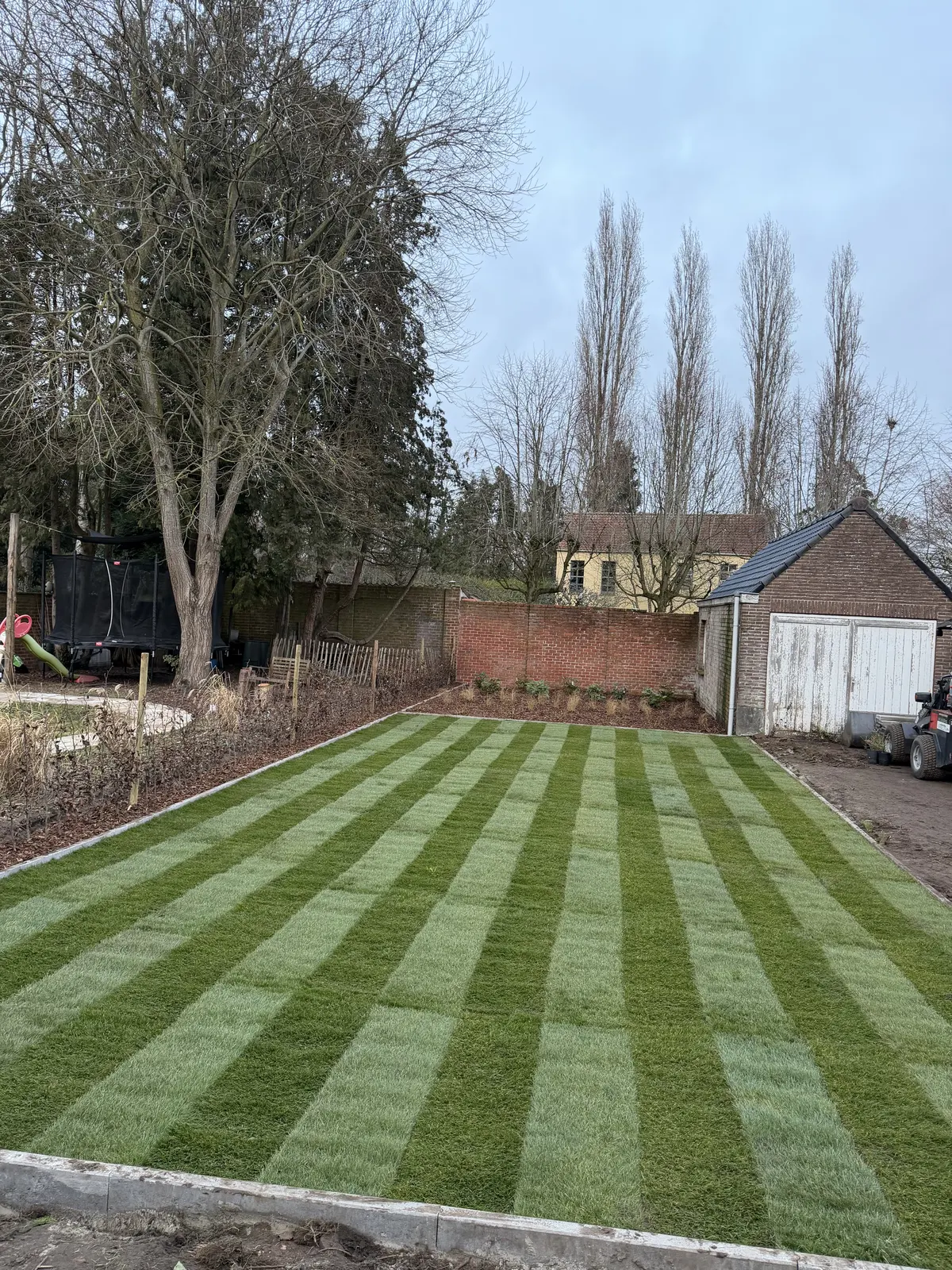 Nieuw aangelegd gazon met maaistrepen in een tuin met haag