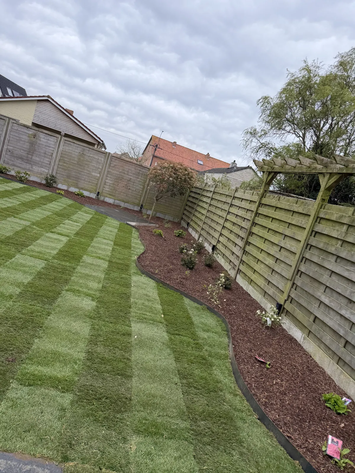 Gazon met maaistrepen naast een border met rode schors en beplanting