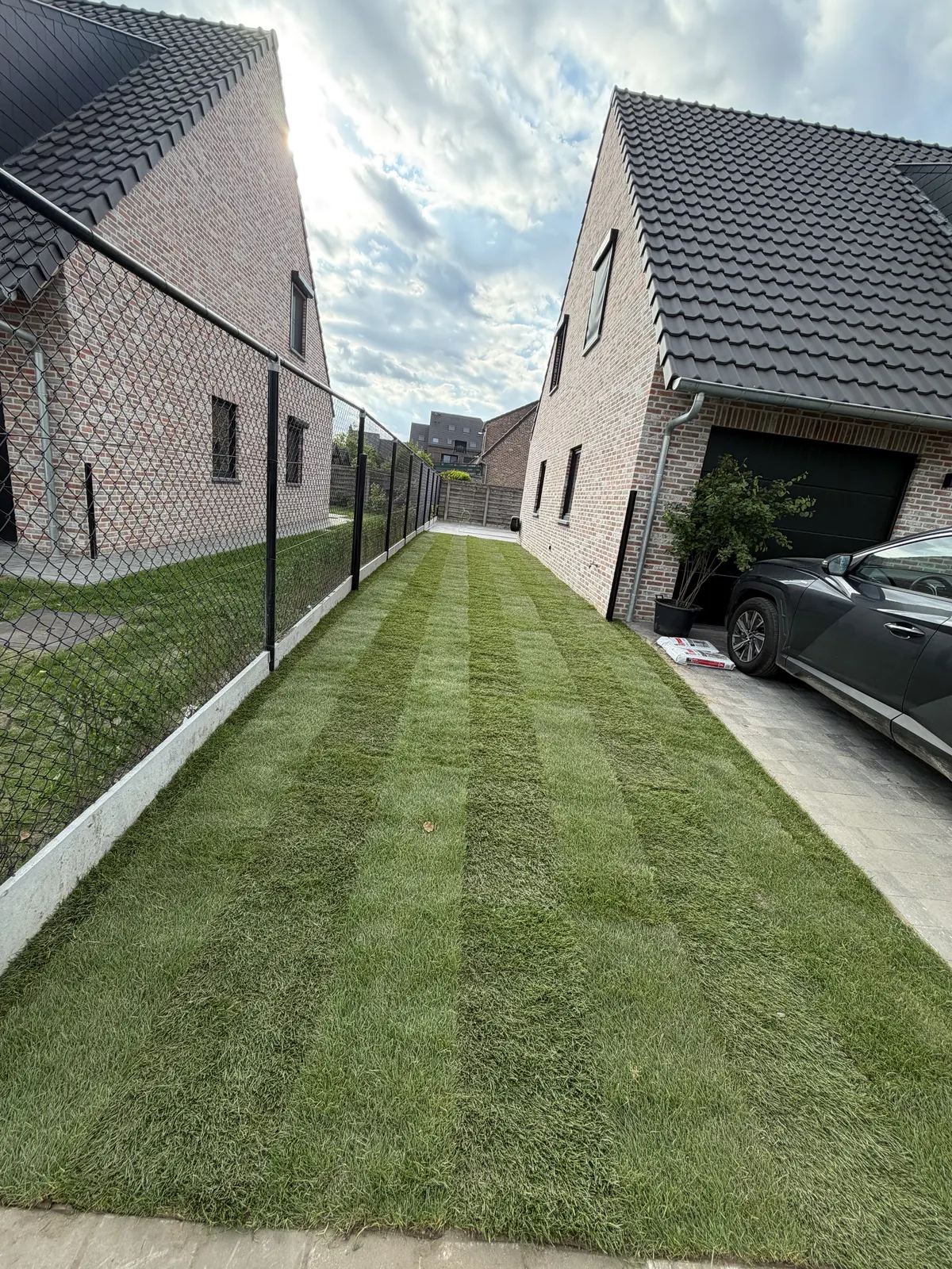 Nieuw gazon in grasmatten aangelegd langs de oprit van een woning