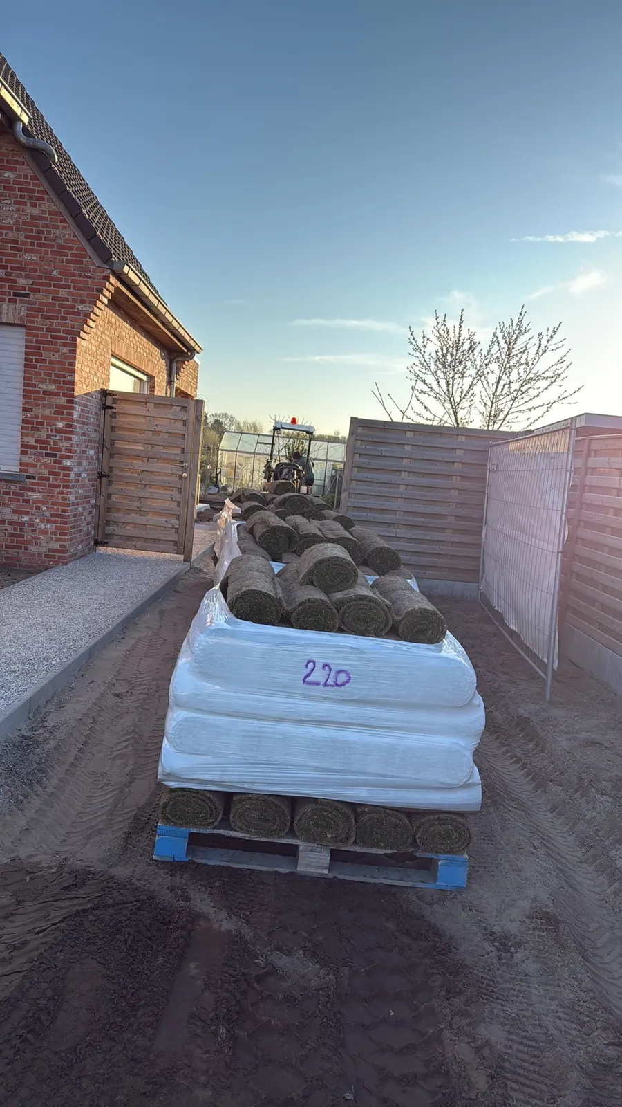 Verse graszoden geleverd op pallet voor het aanleggen van een gazon