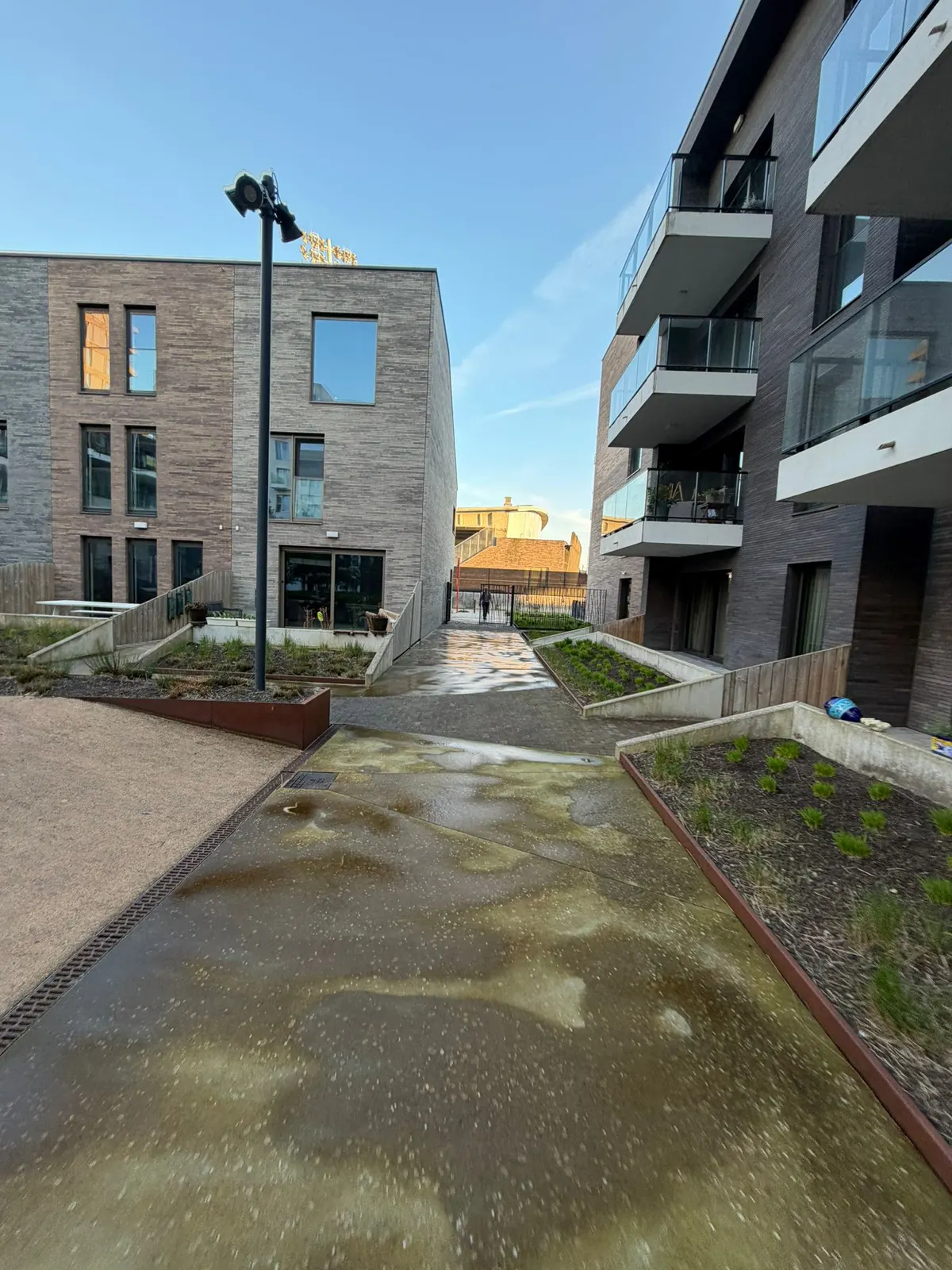 Groenaanleg met beplanting en verharding tussen nieuwe appartementen