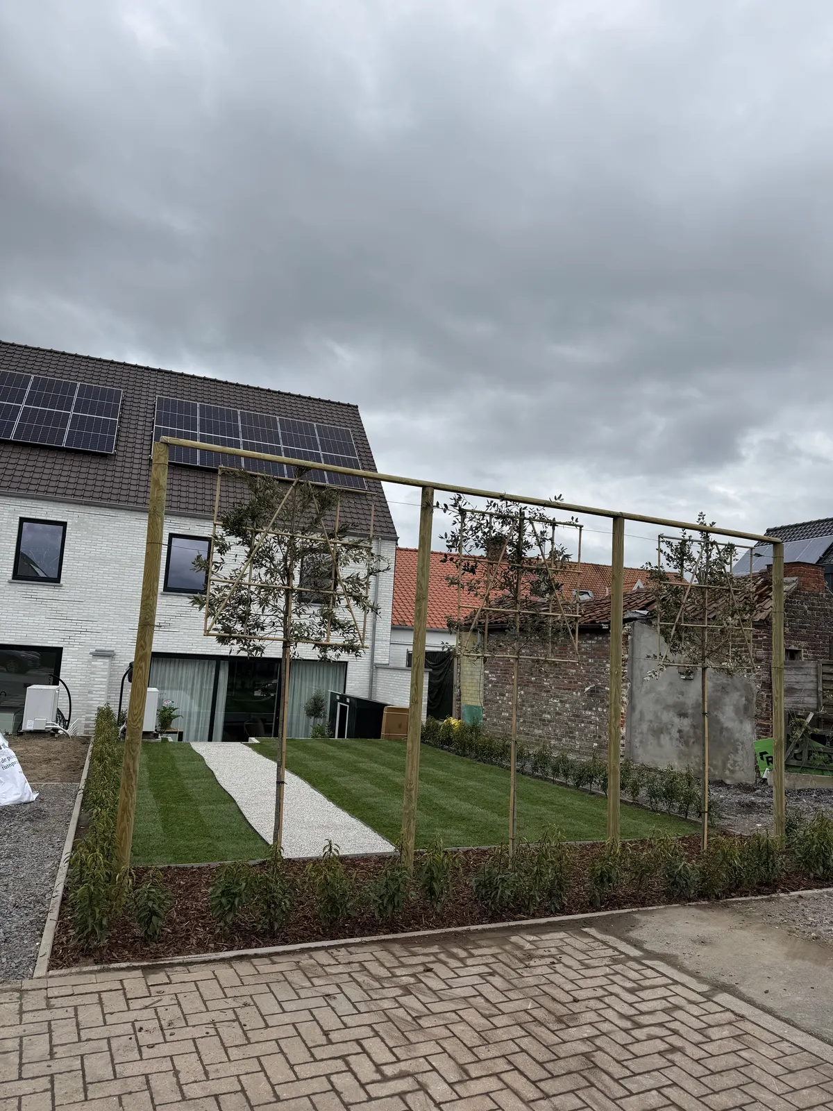 Leibomen aangeplant in de voortuin van een nieuwbouwwoning