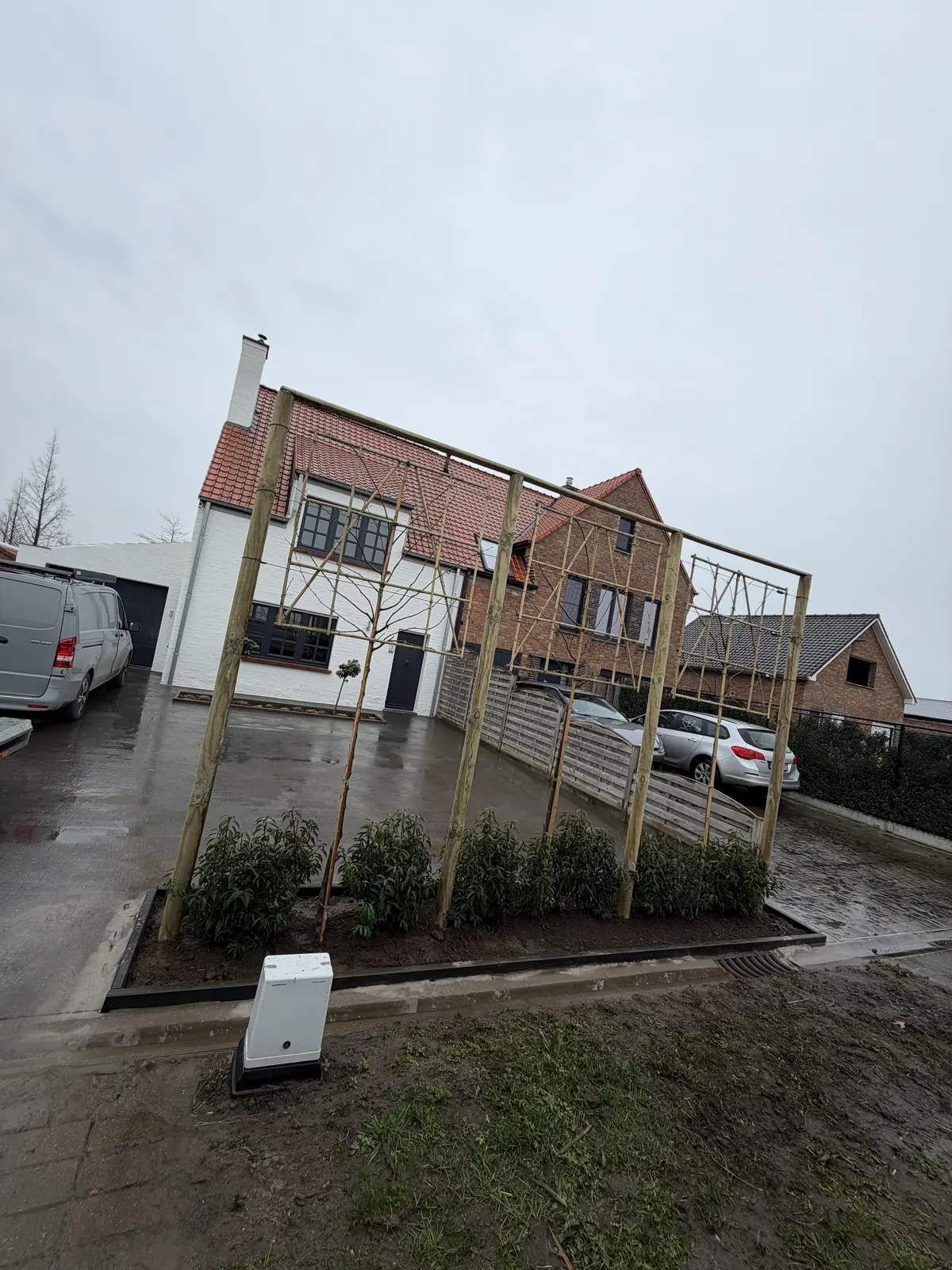 Leibomen aangeplant met draadconstructie bij een nieuwbouw