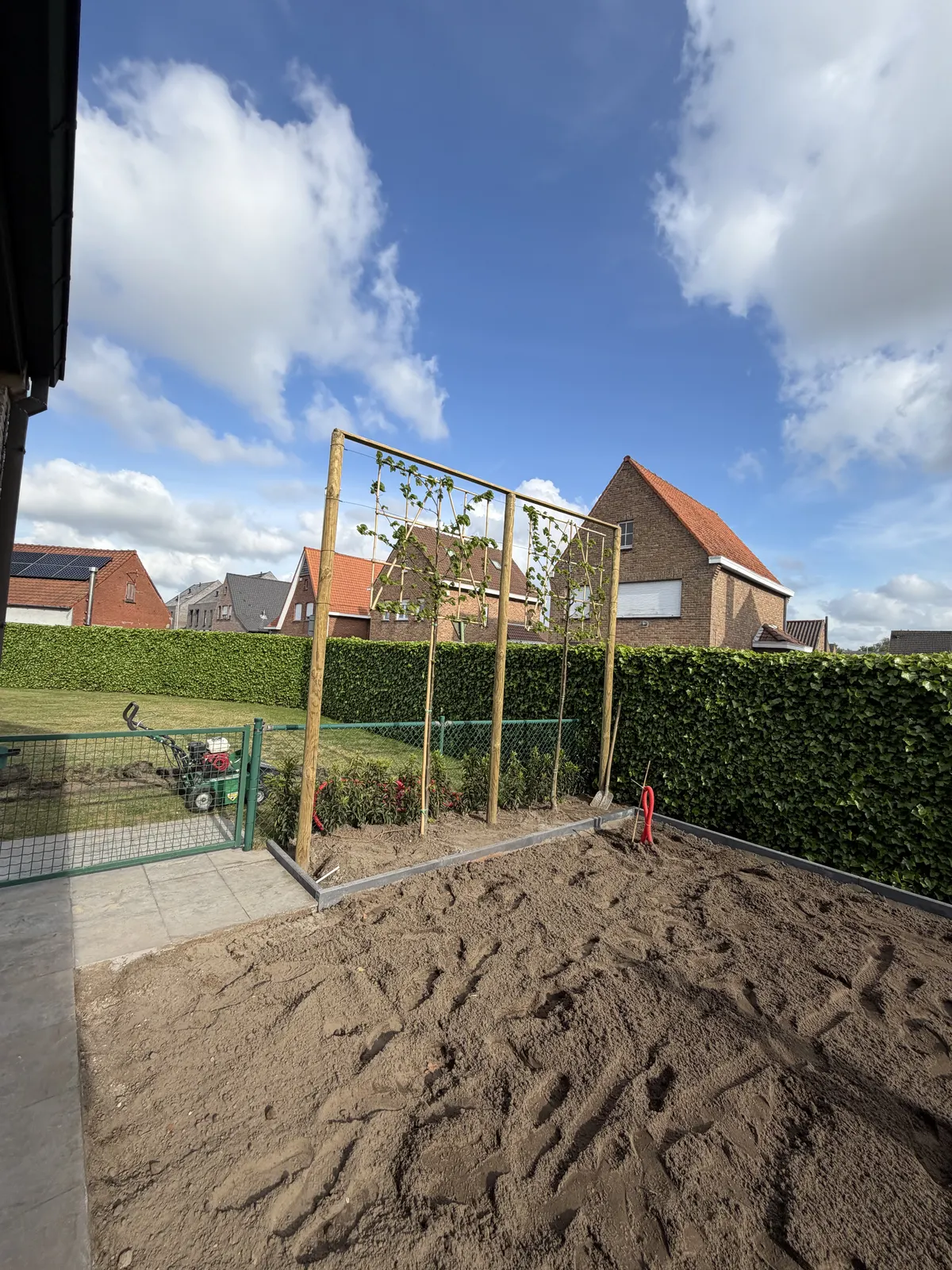 Houten leiboomconstructie geplaatst als groen scherm in de tuin
