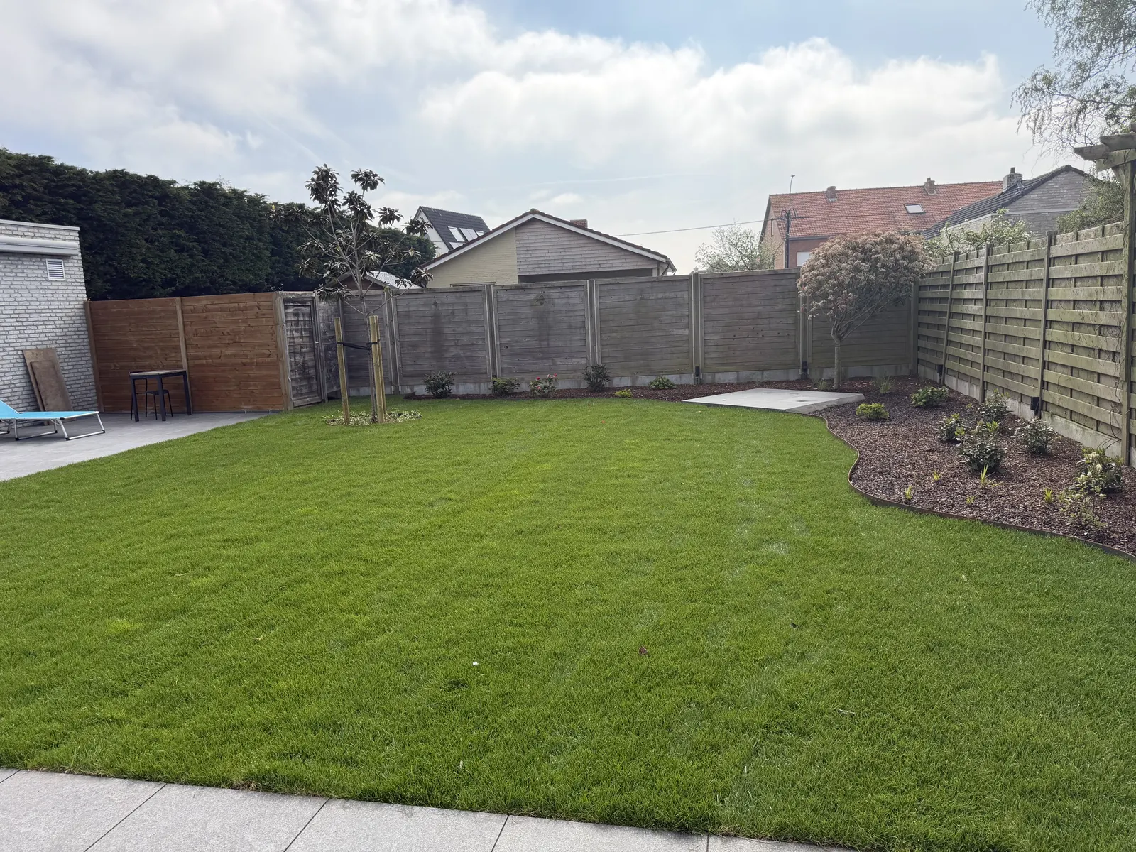 Vers aangelegd gazon in een tuin met houten omheining