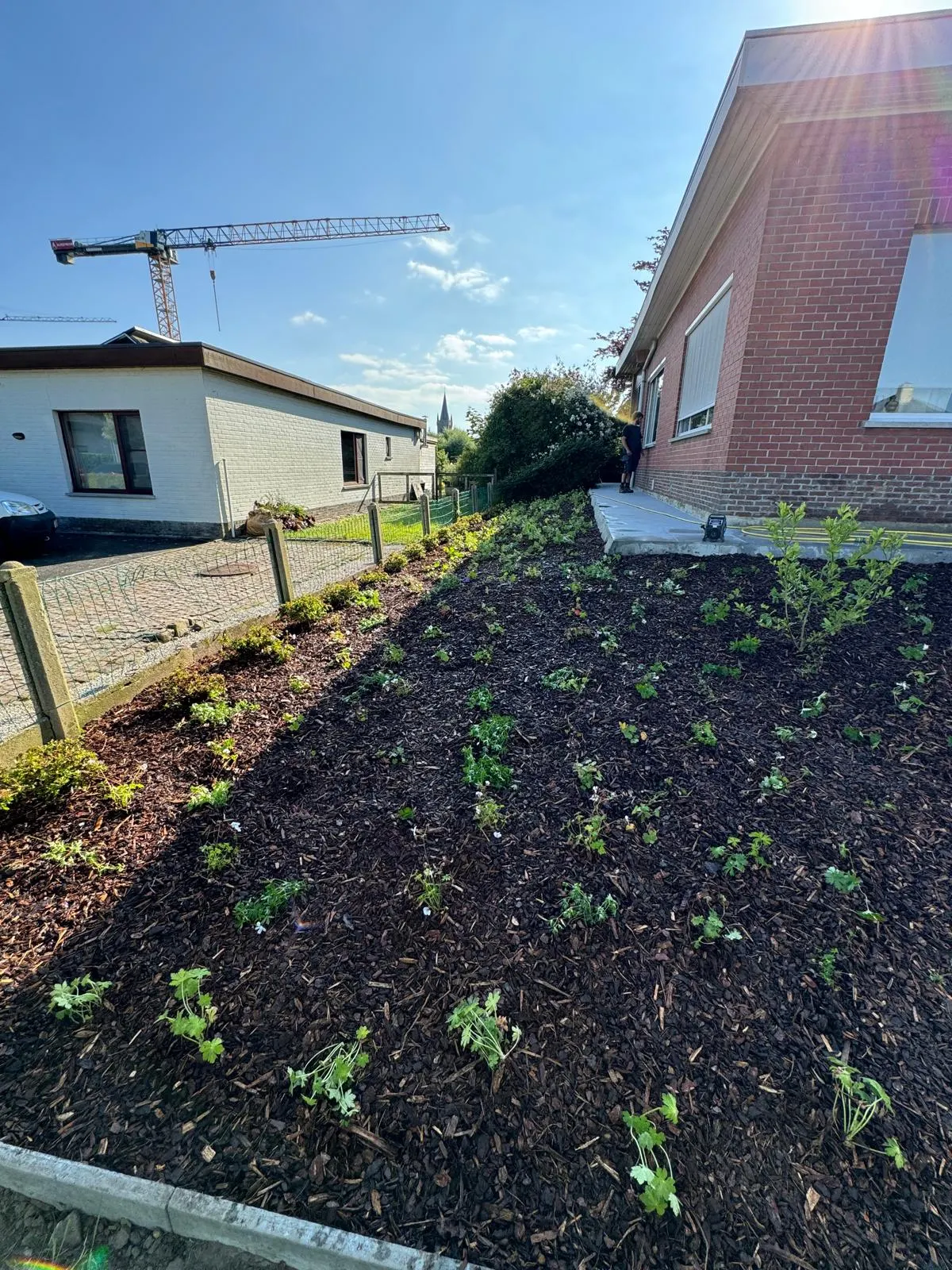 Nieuw aangeplante border met sierbeplanting bij een nieuwbouwwoning