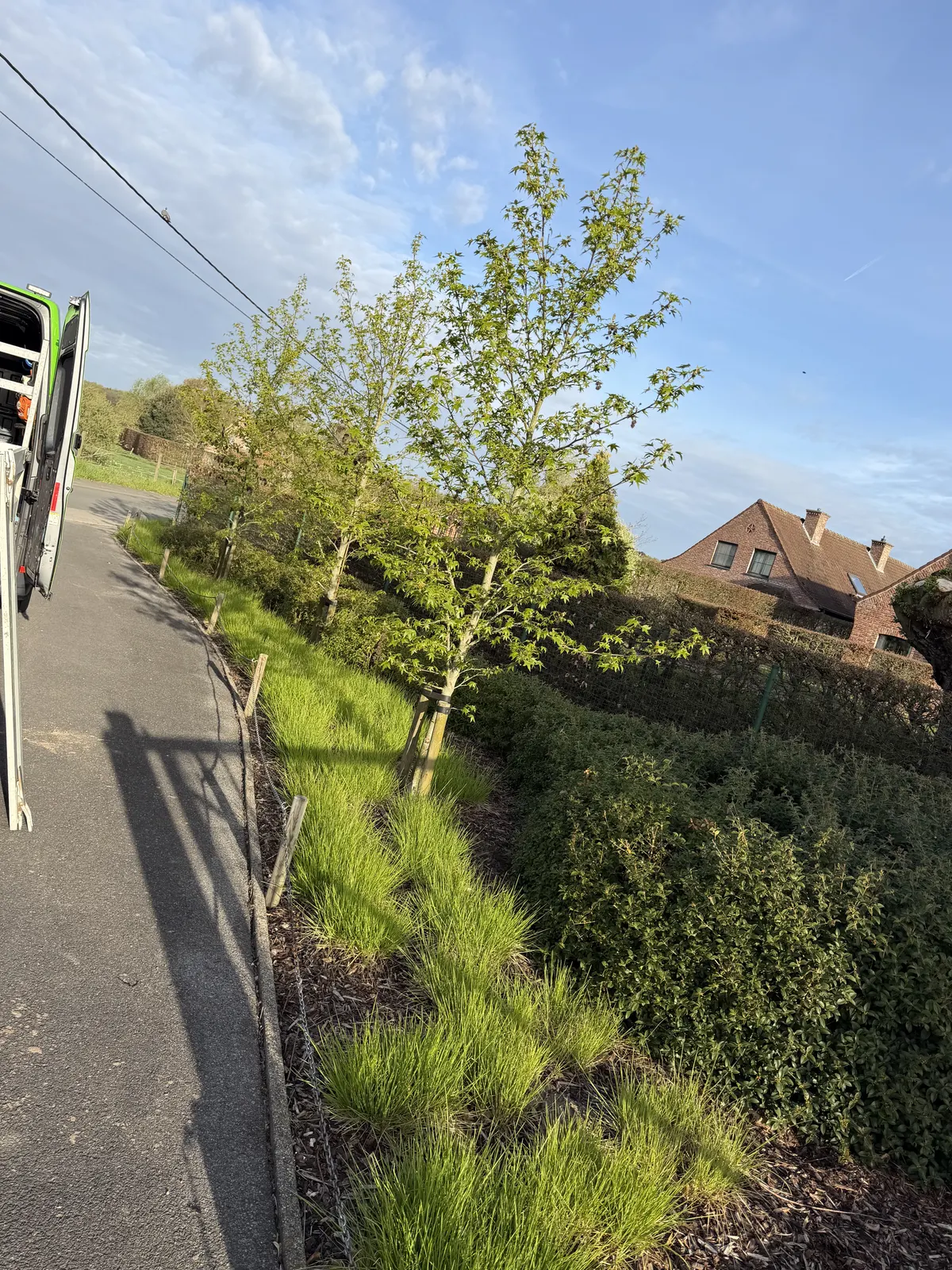 Siergrassen en beplanting aangeplant langs een oprit